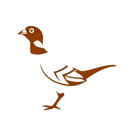 Upland Birds